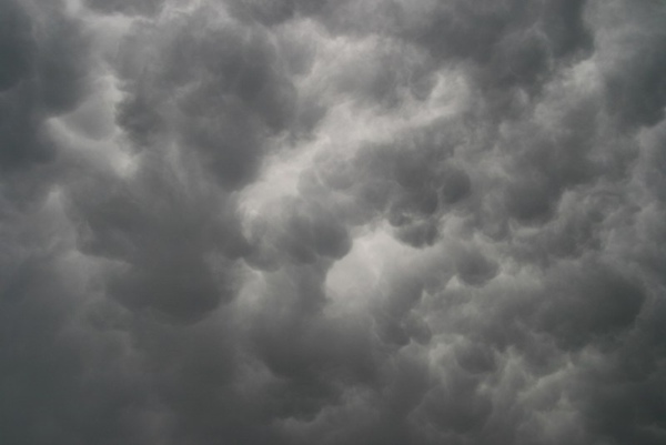 Eifelmammatus0507 030a.jpg